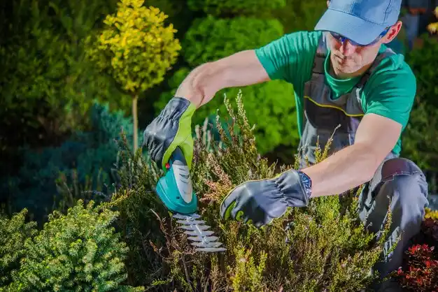 landscaping services Ludington
